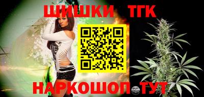 спиды Гатчина