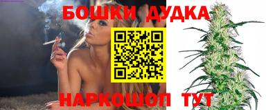 спиды Гатчина