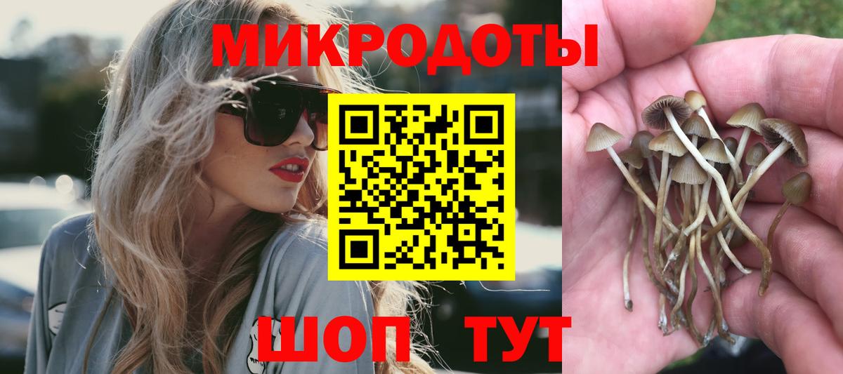 Галлюциногенные грибы Psilocybe  Вход с VPN  Галлюциногенные грибы Psilocybe  Заринск 